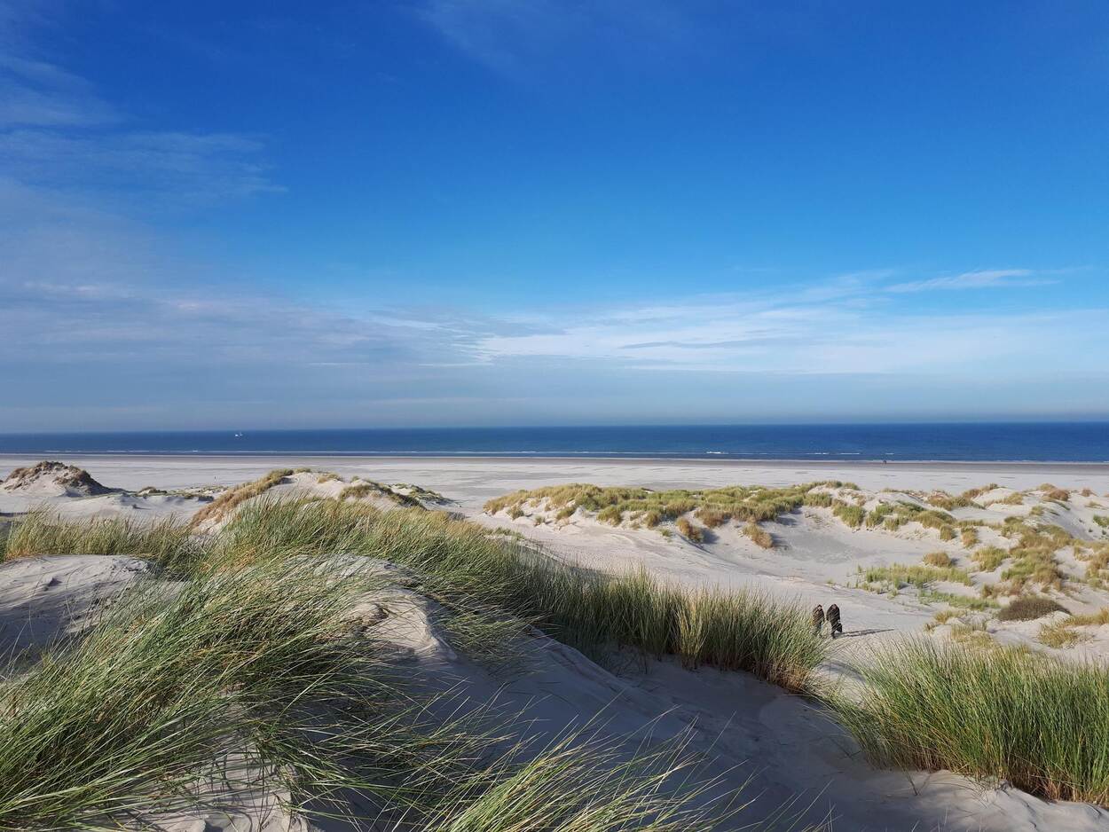 Het Noordzeestrand op Terschelling