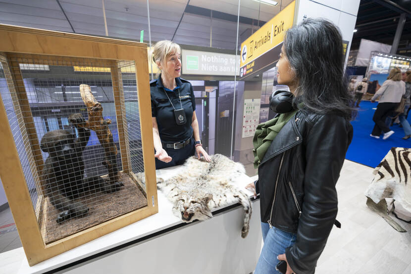 douanier laat bezoeker vakantiebeurs een opgezette aap en een huid van een katachtige zien