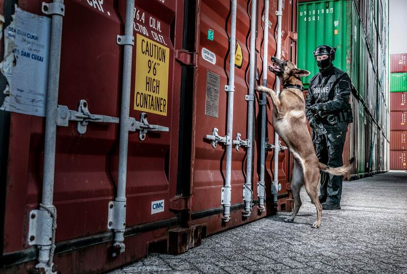 Een lid van het team Bijzondere Bijstand zoekt met een hond tussen containers