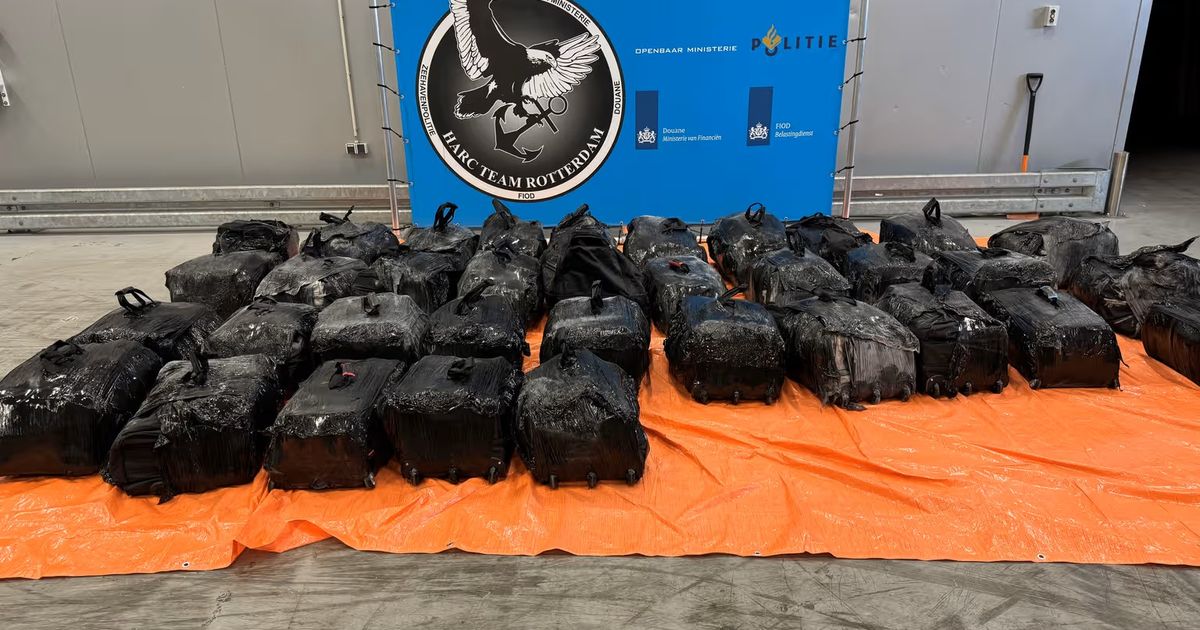 Douane vindt ruim 1.400 kilo cocaïne in containers haven Rotterdam